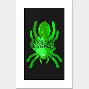 Tarantula Silhouette 56 (Tie Dye) Posters and Art